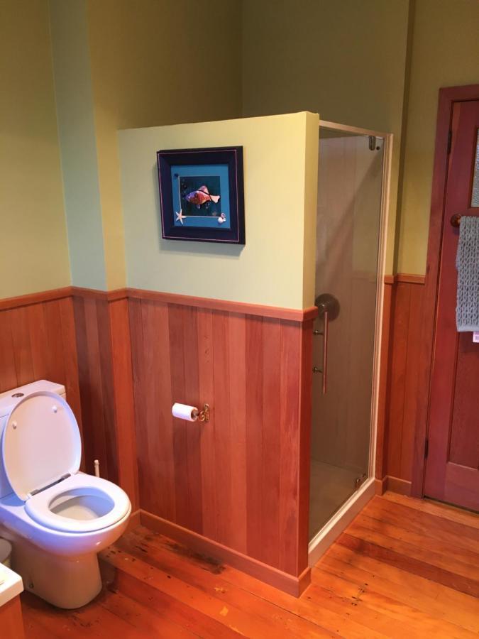 School Lane B&B Wr. วานกาไร ภายนอก รูปภาพ